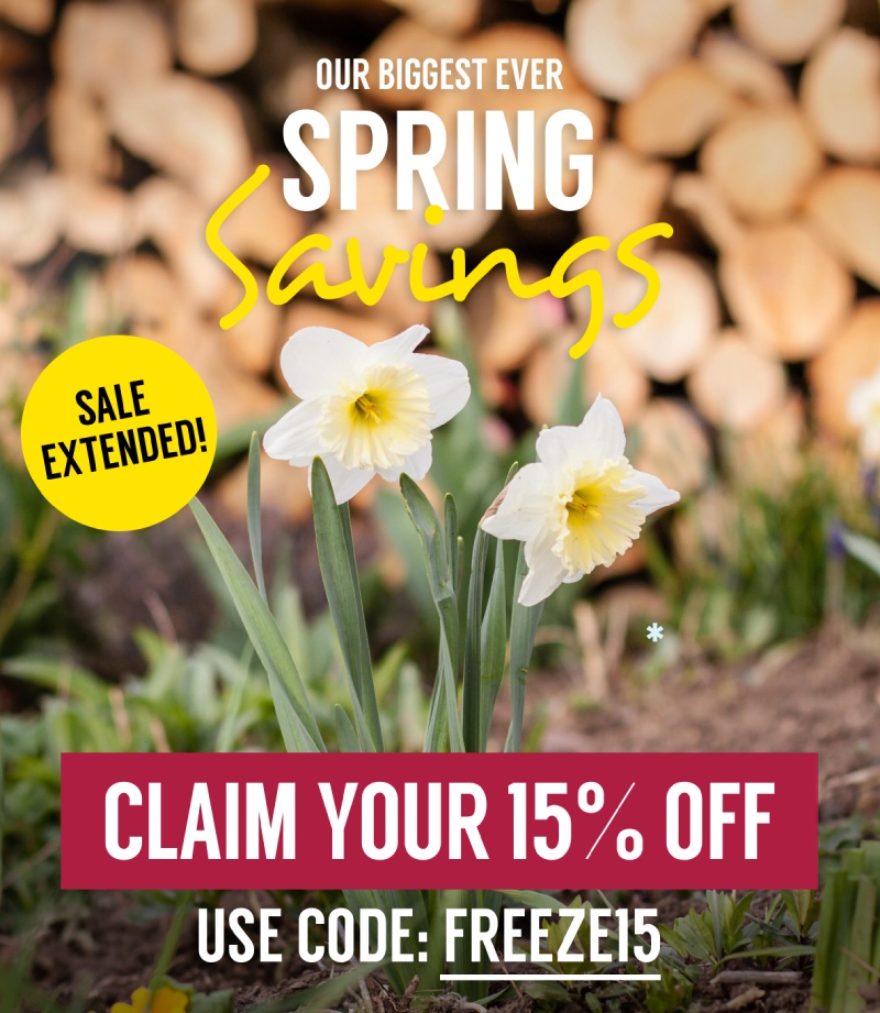 Spring savings!