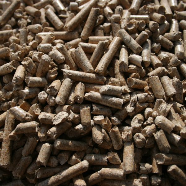 Pellets close up