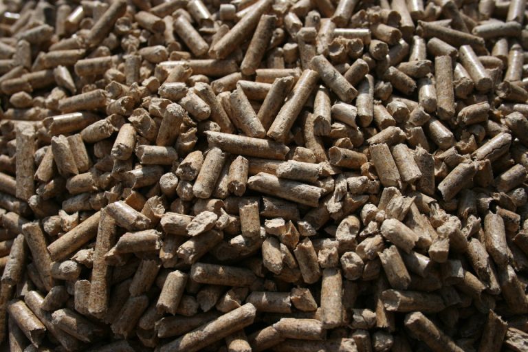 Pellets close up